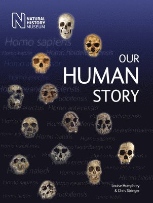 Our Human Story 1