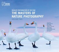 bokomslag Wildlife Photographer of the Year: Volume 2