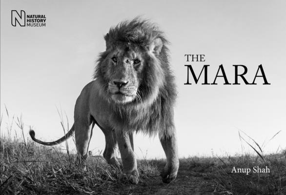 The Mara 1