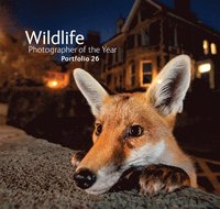 bokomslag Wildlife Photographer of the Year: Portfolio 26
