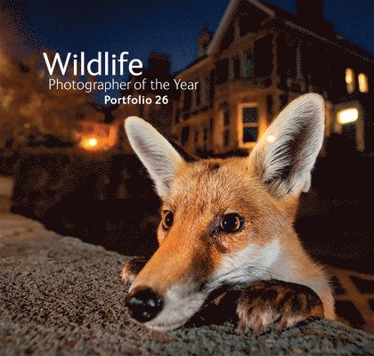 Wildlife Photographer of the Year: Portfolio 26 1