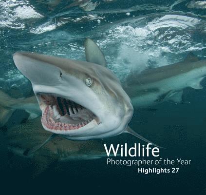 Rosamund Kidman Cox - Wildlife Photographer of the Year: Highlights, Häftad