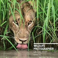 bokomslag Wildlife Photographer of the Year: Portfolio 28