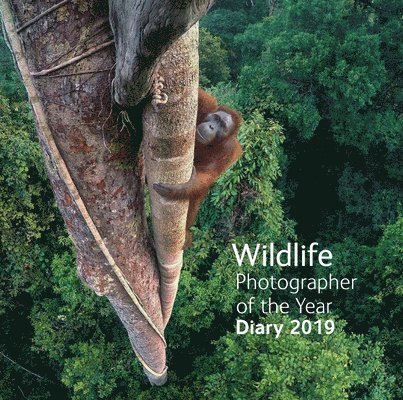 Natural History Museum - Wildlife Photographer of the Year Desk Diary 2019, Inbunden