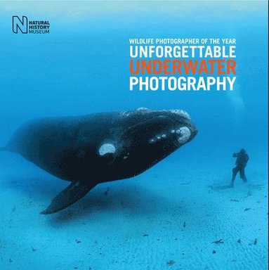 bokomslag Wildlife Photographer of the Year: Unforgettable Underwater Photography