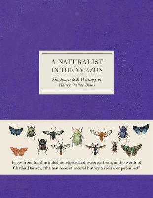 A Naturalist in the Amazon 1