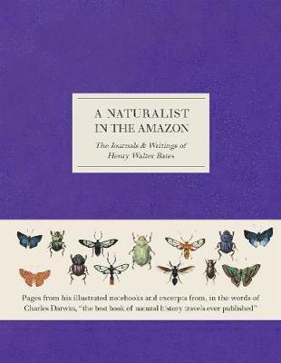 Naturalist in the Amazon