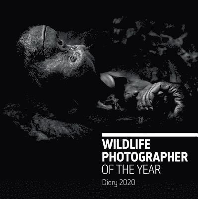 Natural History Museum - Wildlife Photographer of the Year Desk Diary 2020, Inbunden