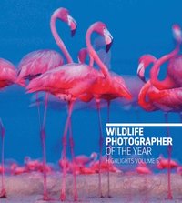 bokomslag Wildlife Photographer of the Year: Highlights Volume 5
