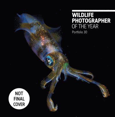 Rosamund Kidman Cox - Wildlife Photographer of the Year: Portfolio 30: Volume 30, Inbunden