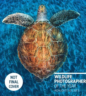 bokomslag Wildlife Photographer of the Year: Highlights Volume 6