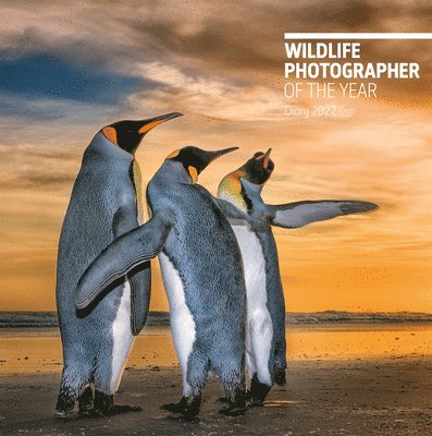 Natural History Museum - Wildlife Photographer of the Year Desk Diary 2022, Inbunden