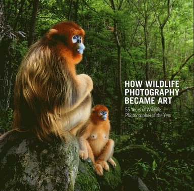 bokomslag How Wildlife Photography Became Art