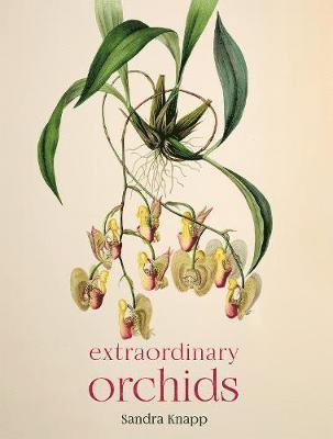 Extraordinary Orchids 1