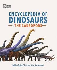 bokomslag Encyclopedia of Dinosaurs: The Sauropods