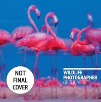 bokomslag Wildlife Photographer of the Year