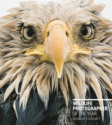 Rosamund Kidman Cox - Wildlife Photographer of the Year: Highlights Volume 7, Häftad