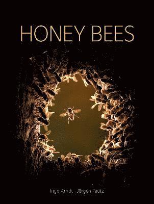 Jurgen Tautz - Honey Bees, Inbunden