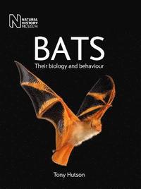 bokomslag Bats