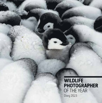 Wildlife Photographer of the Year: Pocket Diary 2023 1