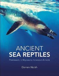 bokomslag Ancient Sea Reptiles