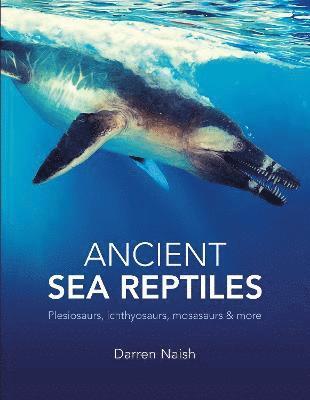 Ancient Sea Reptiles 1