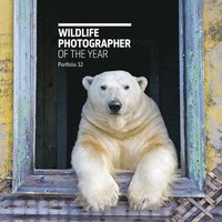 bokomslag Wildlife Photographer of the Year: Portfolio 32