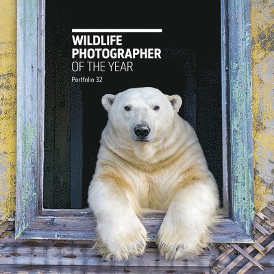 Rosamund Kidman Cox, Rosamund Kidman Cox, Rosamund Kidman Cox - Wildlife Photographer of the Year: Portfolio 32, Inbunden