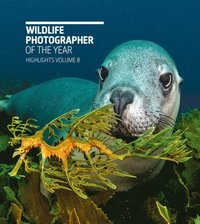 bokomslag Wildlife Photographer of the Year: Highlights Volume 8