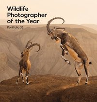 bokomslag Wildlife Photographer of the Year: Portfolio 33