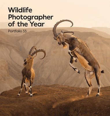bokomslag Wildlife Photographer of the Year: Portfolio 33