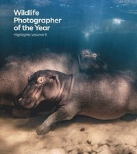 bokomslag Wildlife Photographer of the Year: Highlights Volume 9