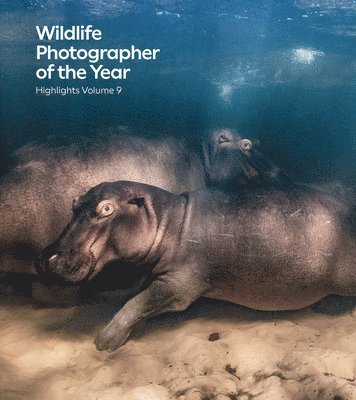 Wildlife Photographer of the Year: Highlights Volume 9 1