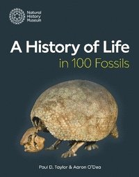 bokomslag A History of Life in 100 Fossils