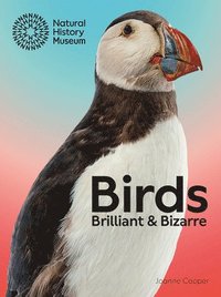 bokomslag Birds