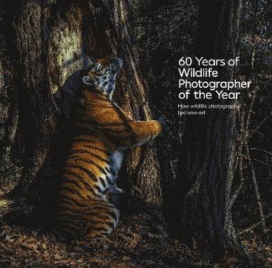 bokomslag 60 Years of Wildlife Photographer of the Year