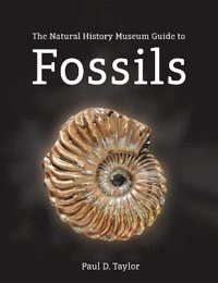 bokomslag The Natural History Museum Guide to Fossils