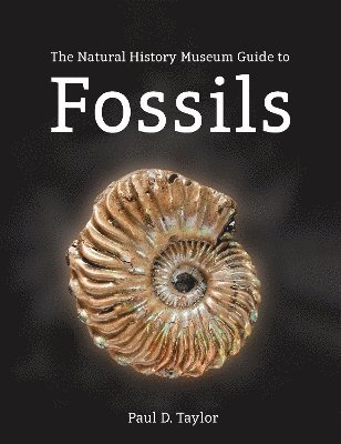 The Natural History Museum Guide to Fossils 1