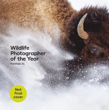 bokomslag Wildlife Photographer of the Year: Portfolio 34