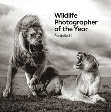 bokomslag Wildlife Photographer of the Year: Portfolio 34