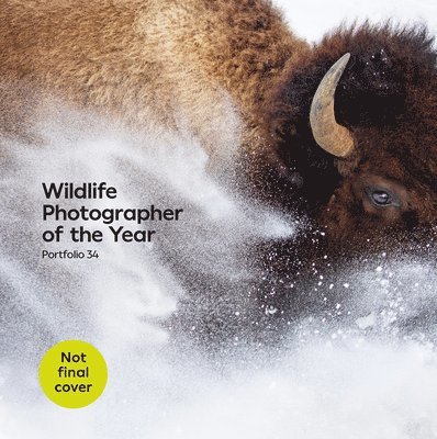 Wildlife Photographer of the Year: Portfolio 34 1