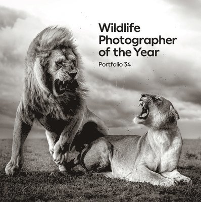 Natural History Museum, Keith Wilson - Wildlife Photographer of the Year: Portfolio 34, Inbunden