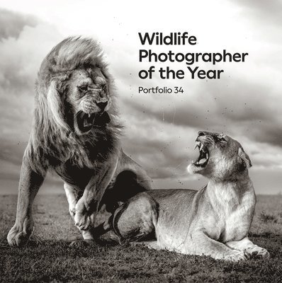 Wildlife Photographer of the Year: Portfolio 34 1