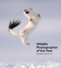 bokomslag Wildlife Photographer of the Year: Highlights Volume 10