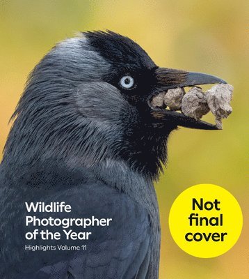 bokomslag Wildlife Photographer of the Year: Highlights volume 11