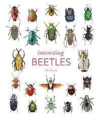 bokomslag Interesting Beetles