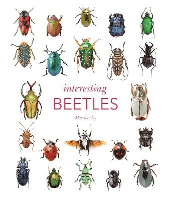 bokomslag Interesting Beetles