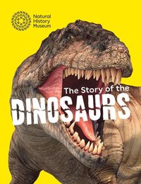 bokomslag Story of the Dinosaurs