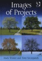 Mark Winter, Tony Szczepanek - Images of Projects, Inbunden