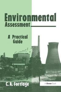 bokomslag Environmental Assessment